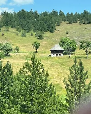 Apartament Limun Zut Zlatibor