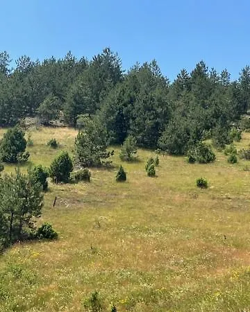 Apartament Limun Zut Zlatibor