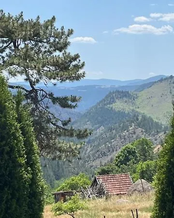 Limun Zut * Zlatibor