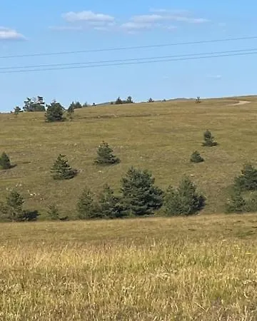 Limun Zut Apartament