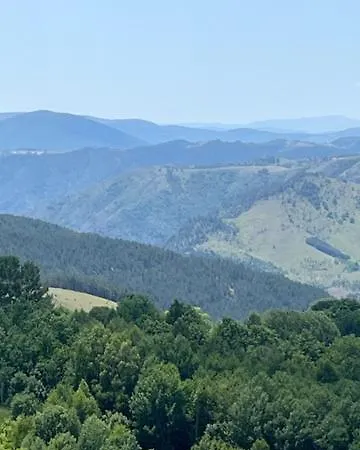 Limun Zut Apartament *