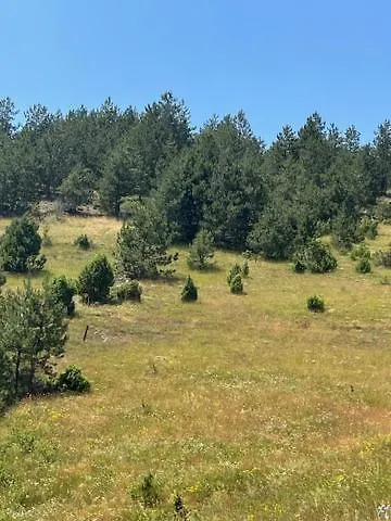 Apartmán Limun Zut Zlatibor