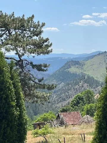 Limun Zut * Zlatibor